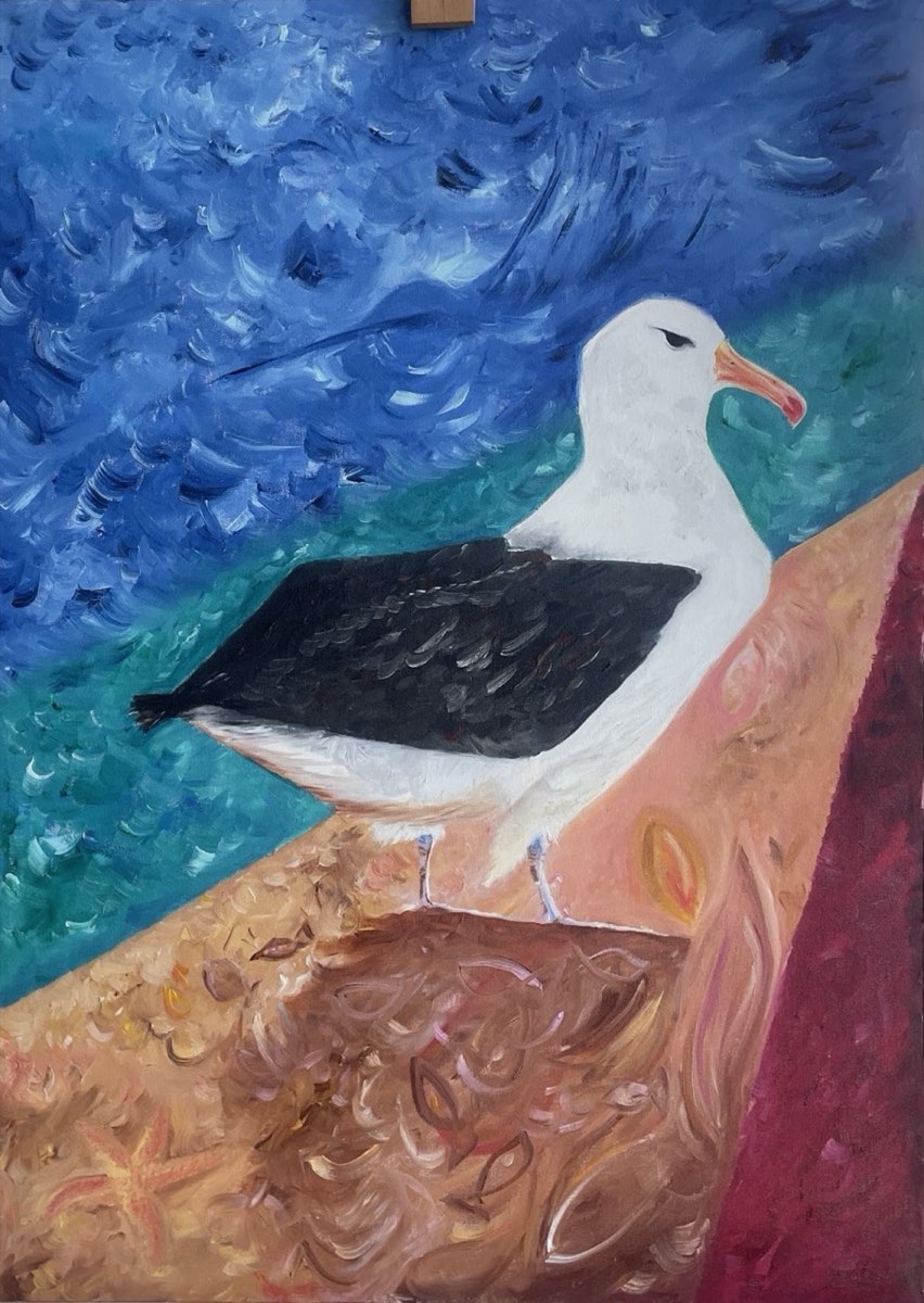 Pintura Albatroz
